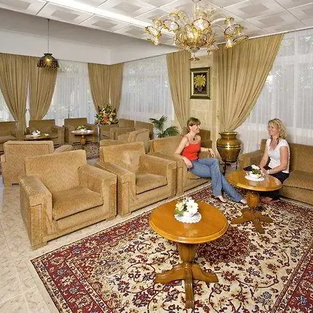 Venecia Otel 3*